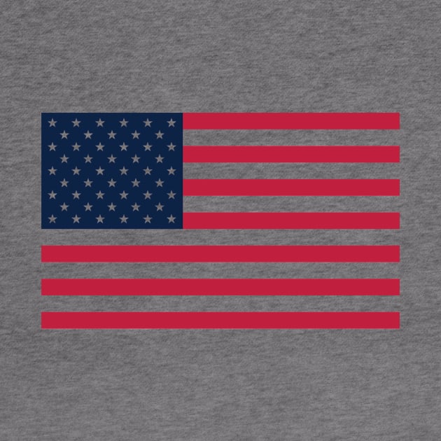 USA Flag Transparent by MrLarry